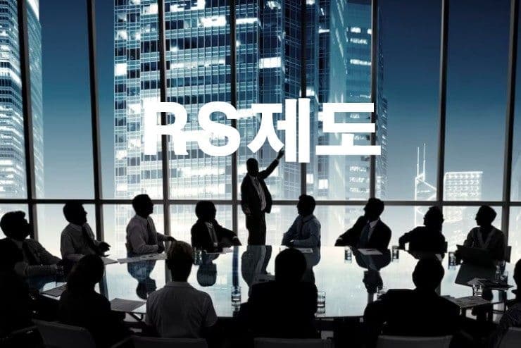 RS 제도의 전반적인 개요